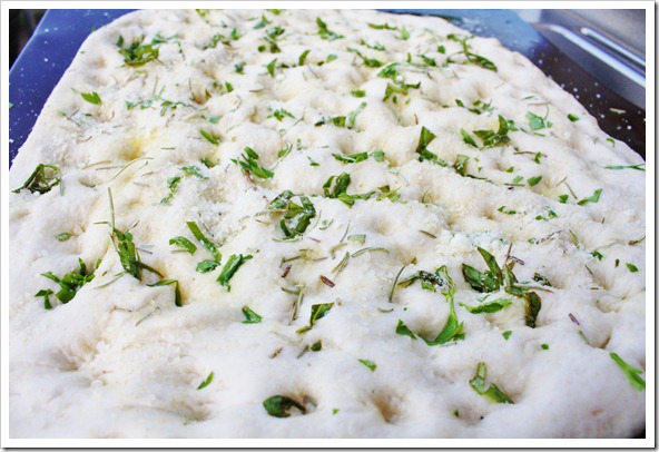 Grilled Focaccia - Sand and Sisal